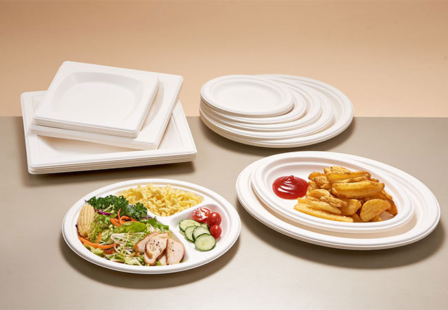 Eco Disposable to Go Containers: Masa Depan Layanan Makanan Berkelanjutan