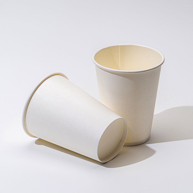 Apakah PHA Paper Cup benar -benar ramah lingkungan?
