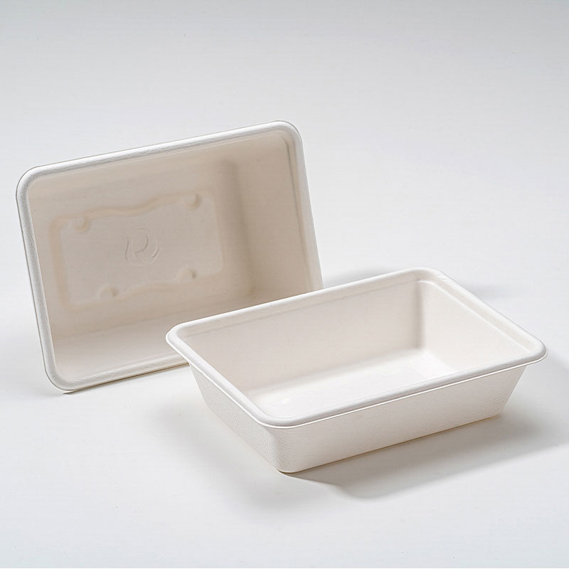 Mengapa Bagasse Square Box Merupakan Masa Depan Kemasan Makanan Berkelanjutan?